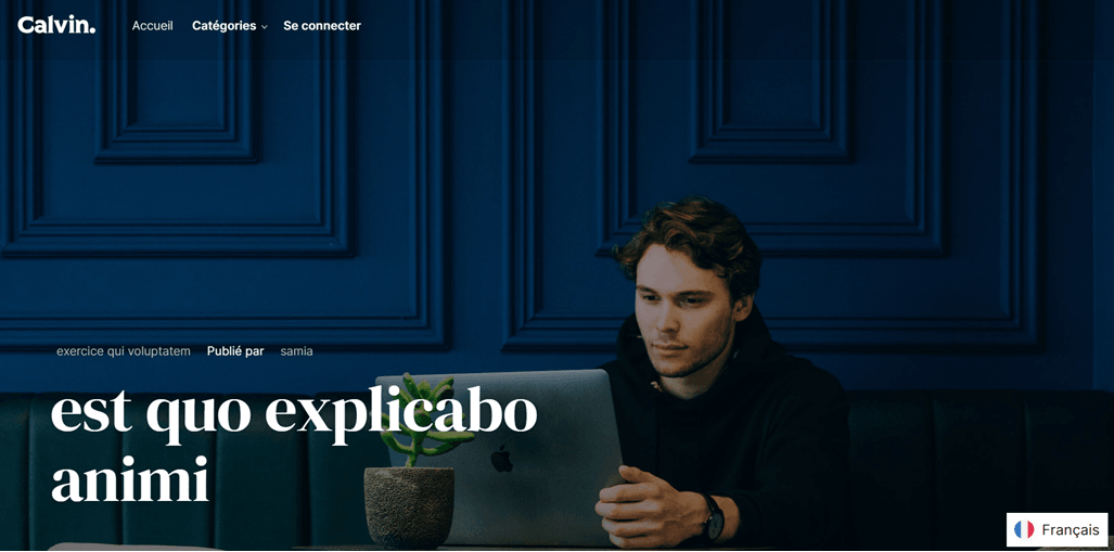 Traduci il sito web laravel : come impostare un cambio di lingua su un sito web multilingue Laravel