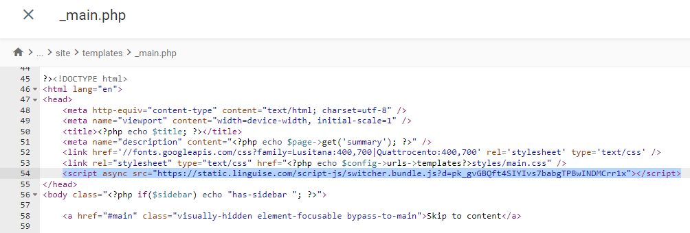 Skript- linguise einfügen – So implementieren Sie die automatische Übersetzung auf ProcessWire CMS